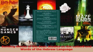 Read  Building Blocks of the Soul Studies on the Letters and Words of the Hebrew Language PDF Free