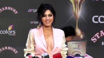Sapna Pabbi Shocking Dress at Stardust Awards 2015