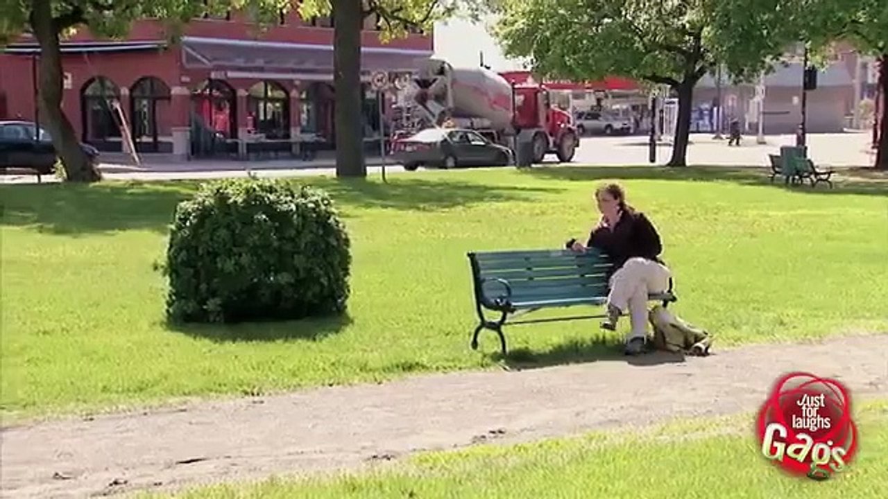 Surprise Dog Statue