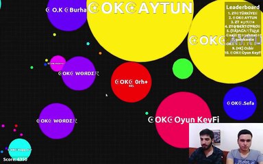 Agar.io Games player