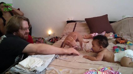 Funny Dogs Protecting Babies Compilation 2015 [NEW HD]