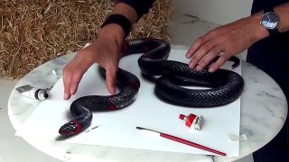3D Snake Drawing!