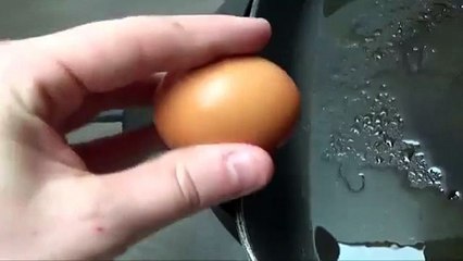How To Perfectly Cook an Egg in 3 Seconds comedy