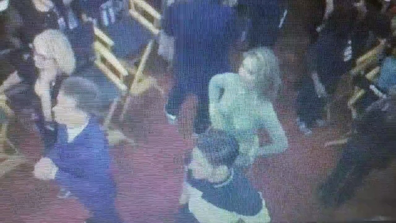 Jenna Johnson smiling while watching Val Chmerkovskiy and Tamar Braxton Week 1 with Alan B