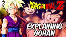 Explaining Gohans Character To The Masses (Dont Come For Our Cheeks)