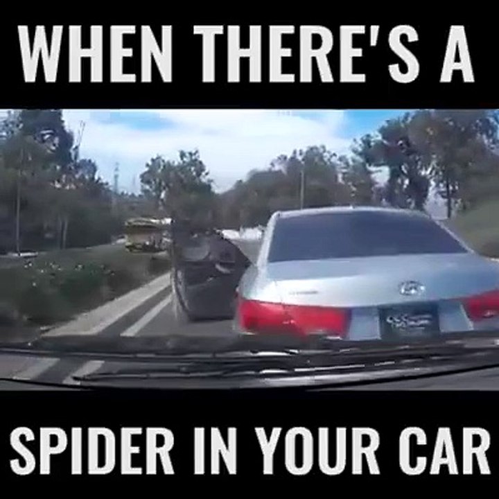 Fair game at that point