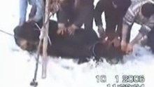 Vahsi Hayvanlar Konusmadikca Kiyamet Kopmaz