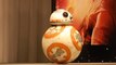 スター・ウォーズ、新ドロイド・BB 8の可愛さに胸キュン　『スター・ウォーズ/フォースの覚醒』来日記者会見