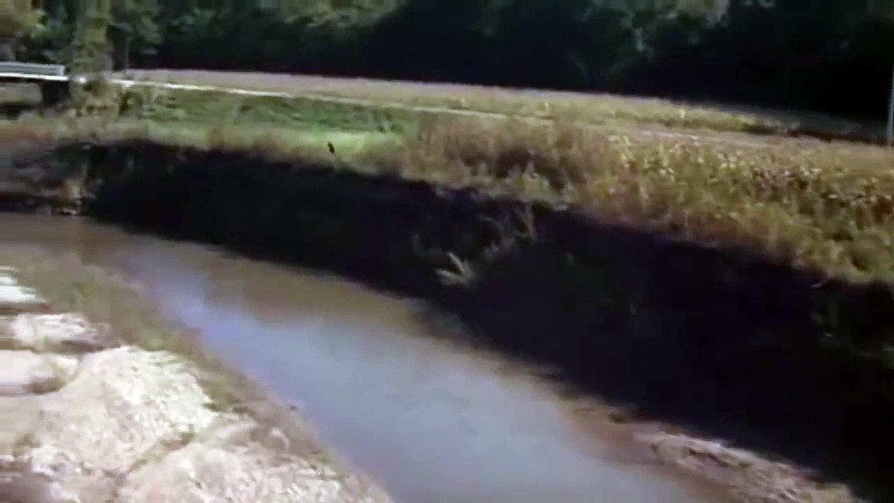 The Bridges Of Madison County (Yasak İlişki) - Trailer Clint Eastwood, Richard LaGravenese, Robert James Waller, Meryl Streep, Annie Corley