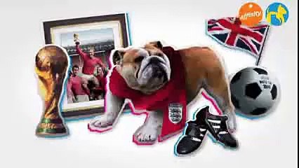 Raza Bulldog inglés: un fortachón cariñoso