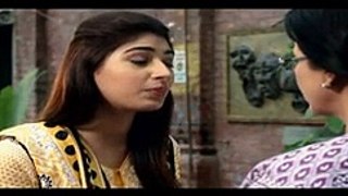 Sangat Episode 19 in HD - Pakistani Dramas Online in HD