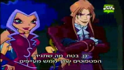 מועדון ווינקס