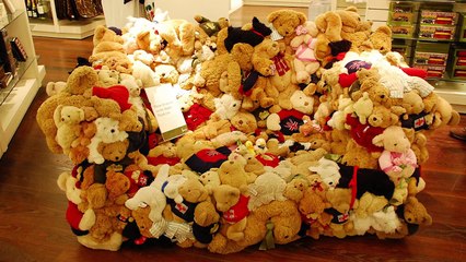 Kimi Tuhaf Kimi Havalı 30 İlginç KOLTUK