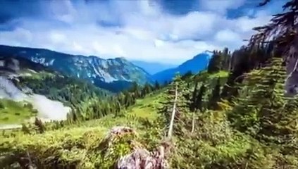 Beautiful Recitation of Surah Saffat by Qari Muhammad Tahir Bashir