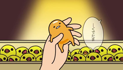 ぐでたまショートアニメ 第375話「ひよこの仕分け」（9-30放送）