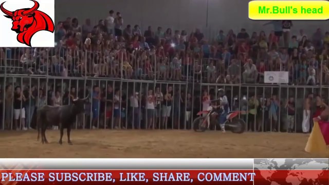 Bull fighting Funny video Top Bulls Demolishing People
