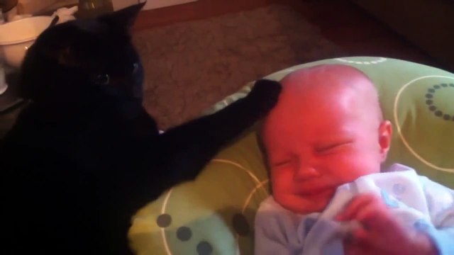 Ребёнок начал плакать То, что сделал с ним этот чёрный кот, поразило