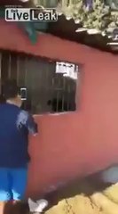 Ces hommes retrouvent leur vache perdue marcher tranquillement sur le toit