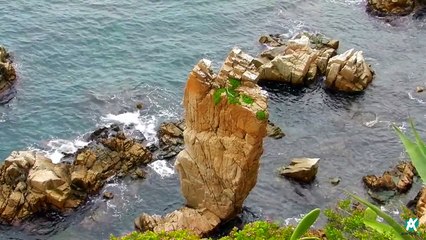 Nature Sounds Relaxing Ocean Sounds, HD 1080p [ Sleep Music ]