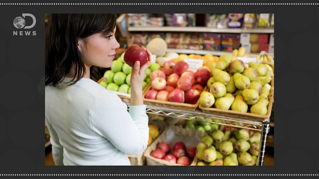 Is It Safe To Eat Genetically Modified Animals?