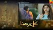 Gul E Rana Episode 9 Promo HUM TV Drama 26 Dec 2015