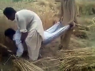 The best funny of 2016 Funny Videos Compilation 2015 - WhatsApp Videos - Funny Indian Videos - Vine Compilation Part 99