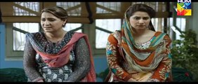 Gul-E-Rana Episode 8 Full HUM TV 26th December 2015