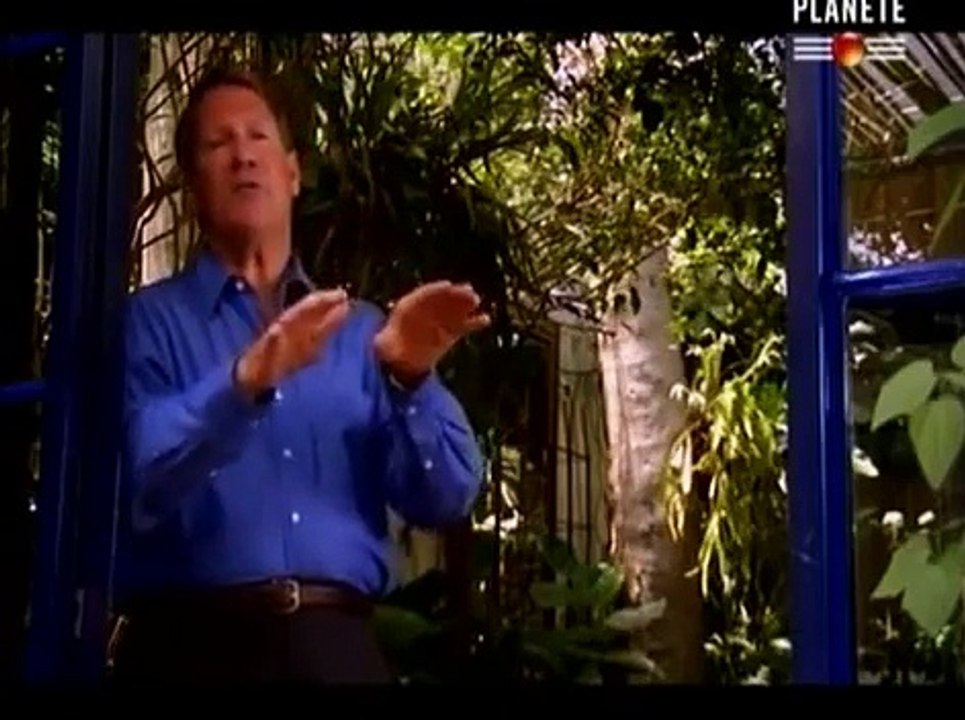 Histoire DUn Grand Empire, Carthage [Documentaire Histoire]