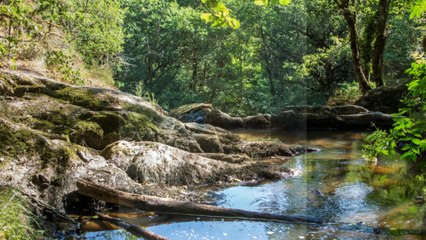Mon année photographique 2015
