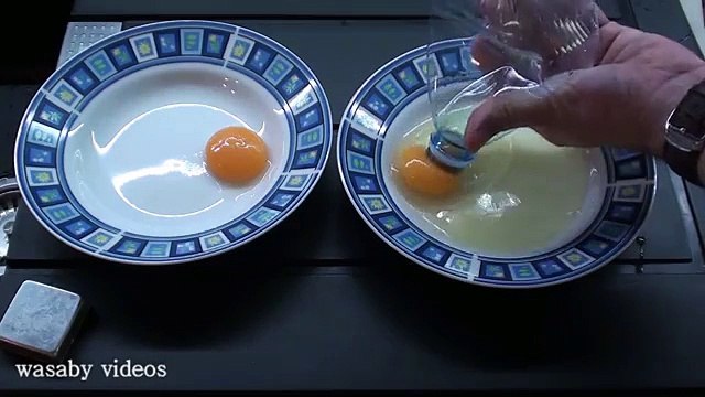 Cool Science Experiments you can do with Eggs.