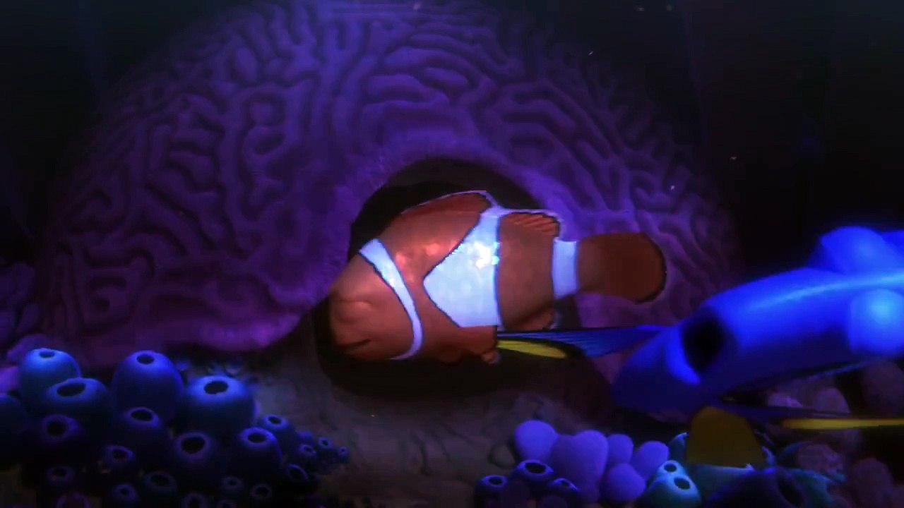 Kayıp Balık Dori - Finding Dory - Türkçe Dublajlı Fragman