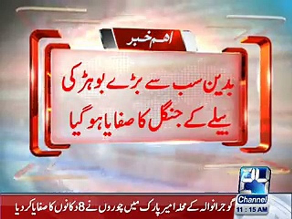 Badin Booharki Jangle ka safayaa..