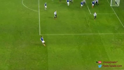 Tom Cleverley Goal - Newcastle vs Everton 0-1