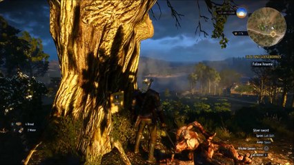 Walkthrough of Witcher 3 Wild Hunt Part 2