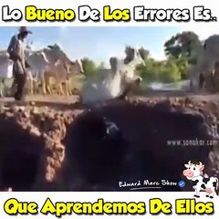 Aprender de los errores