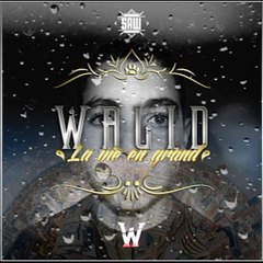 Walid - On a peur du ciel (Audio)