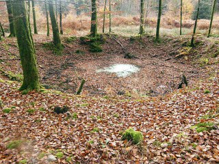 La Ferté-Macé/ Bagnoles de L'Orne. Vidéo 1 de mes trouvailles en forêt d'Andaines