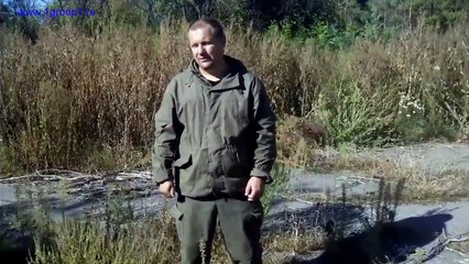 Как определить ведущий глаз