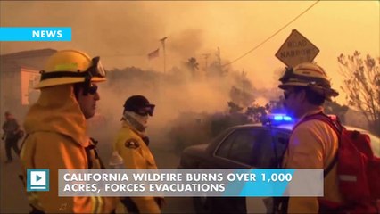 California wildfire burns over 1,000 acres, forces evacuations