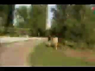 The best of 2016 Woman was kicked by a horse