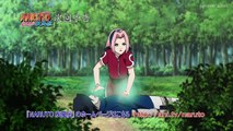Preview Naruto Shippuden Episode 438 Subtitle Indonesia