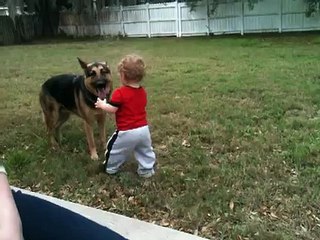 Baby grandson, Ari playing with Max (our German Shepherd).