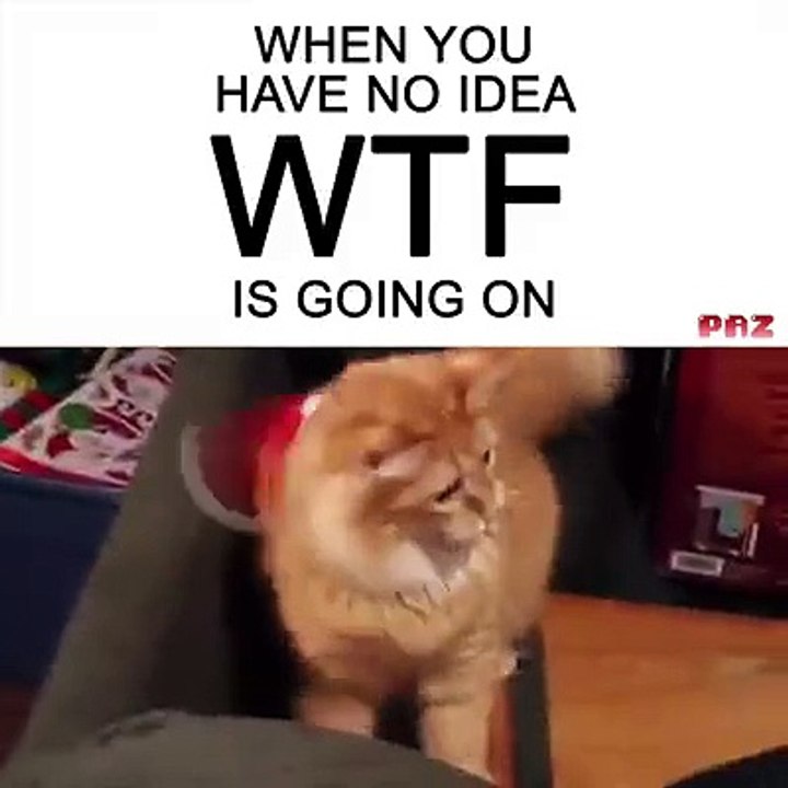 Quand ta aucune idée de ce qui se passe
