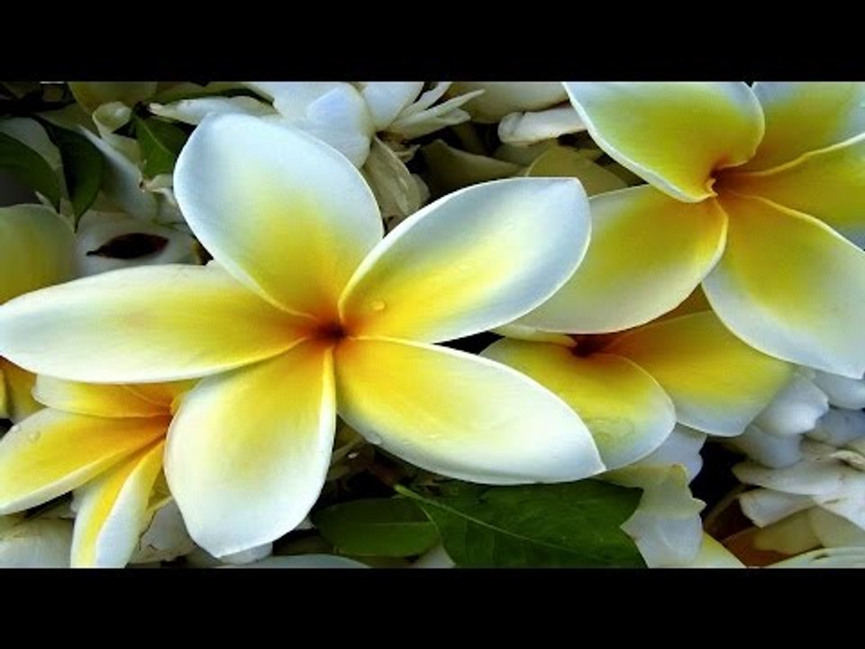 Super Hit Malayalam Christian Devotional song