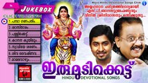 Ayyappa Devotional Songs Malayalam | Irumudikattu | Hindu Devotional Songs Jukebox