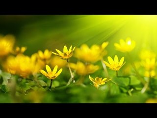 Super Hit Tamil Christian Devotional Song