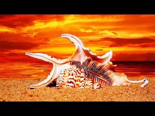 Super Hit Tamil Christian Devotional Song