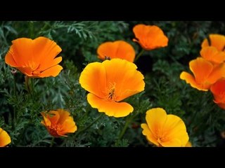 Super Hit Tamil Christian Devotional Song