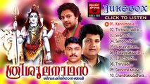 Hindu Devotional Songs Malayalam | Trishoolanadhan | Shiva Devotional Songs | Audio Jukebox