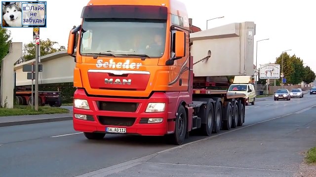 Мега длинная перевозка - Водитель профессионал